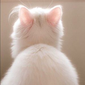 Meet your Posher, La